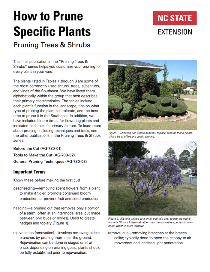 Pruning Specific Plants