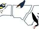 Birding trail website logo