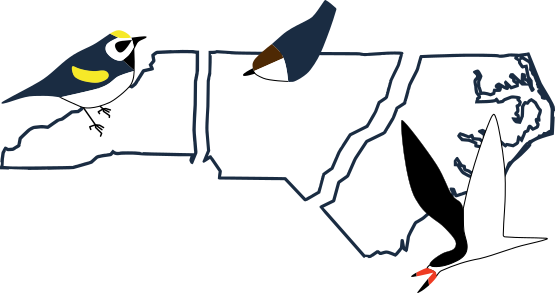 Birding trail website logo