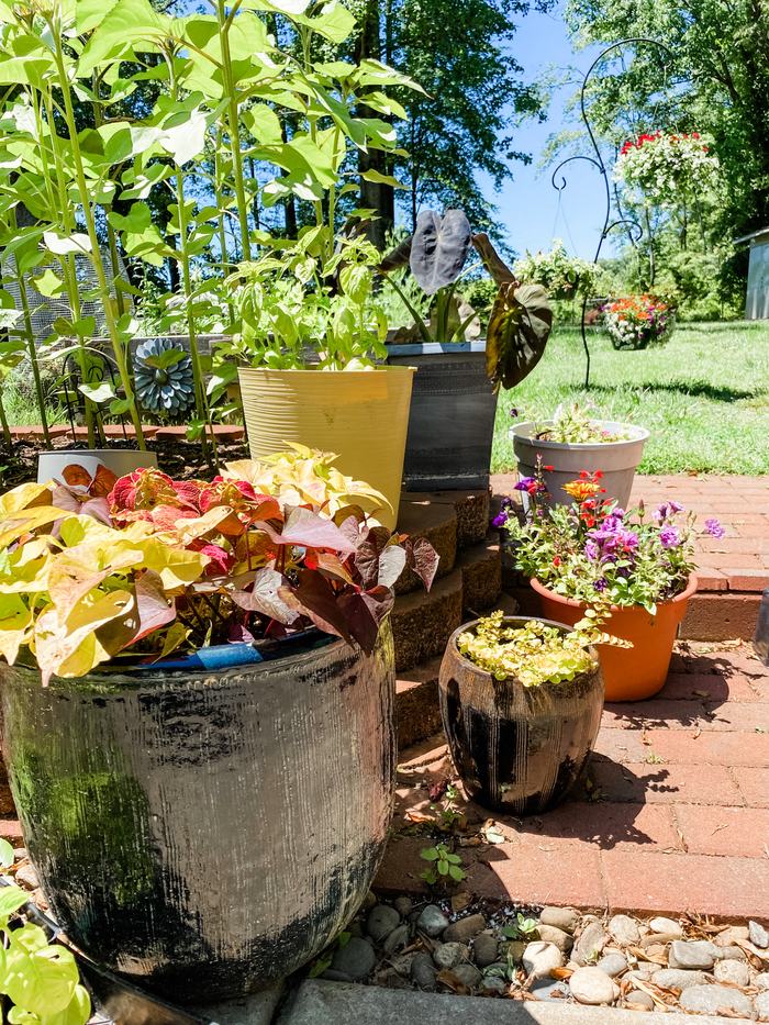 containers with flowers