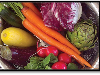basket of fresh vegetables