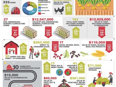 McDowell County NC Ag Stats 2017
