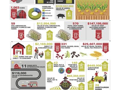 Local farms and food profile