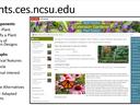 Home Page Plants.ces.ncsu.edu