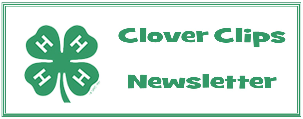 4-H clover clips