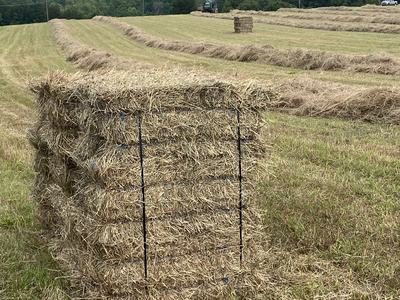 Kennedy Property, Guilford County, 2020