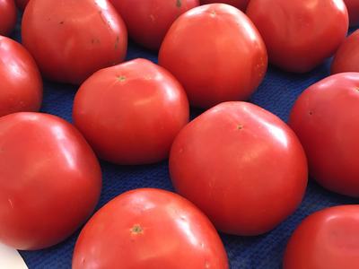 Tomatoes at farmers market