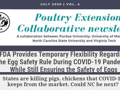 screen image of the collaborative newsletter