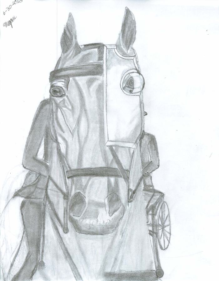Horse drawing