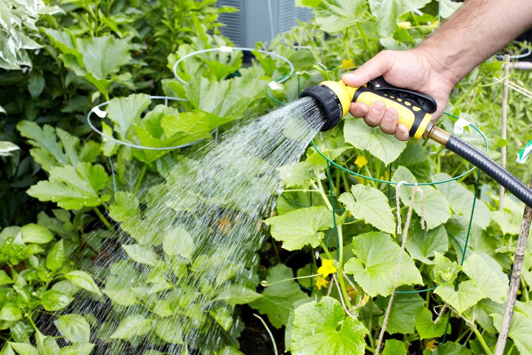 Hand holding yellow hose nozzle spraying water onto garden plants