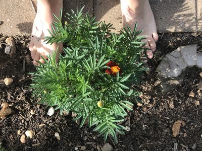 barefoot in garden soil