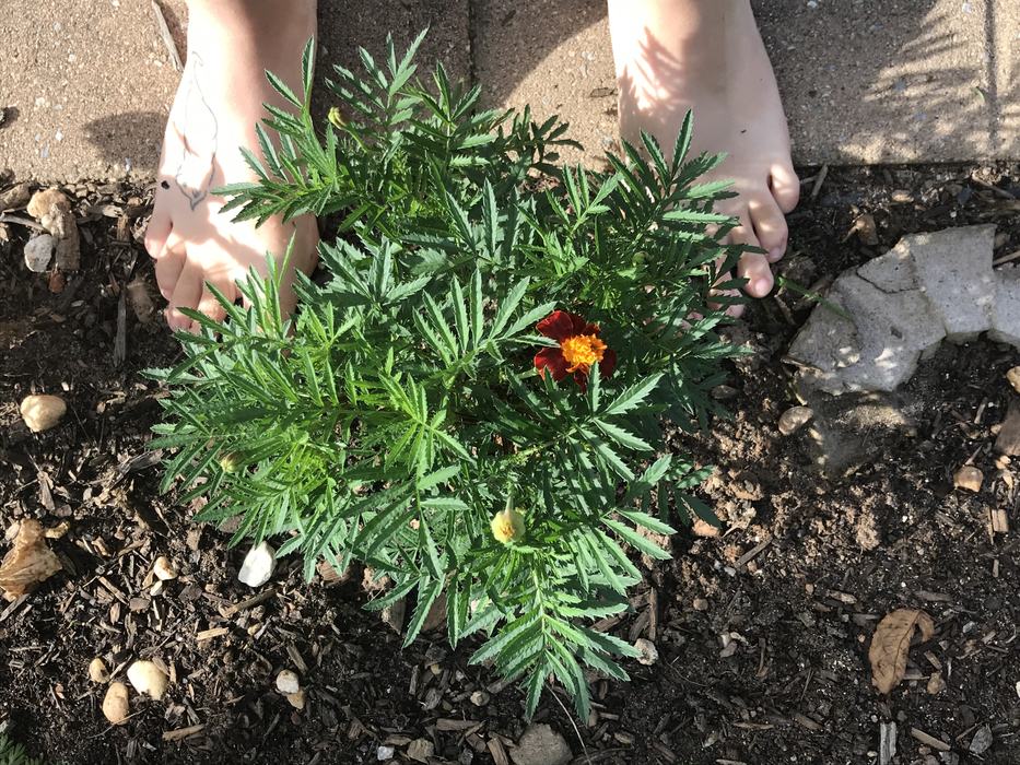 barefoot in garden soil