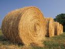 round bale of hay