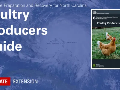 Hurricane background with text Hurricane Preparation and Recovery for North Carolina Poultry Producers Guide