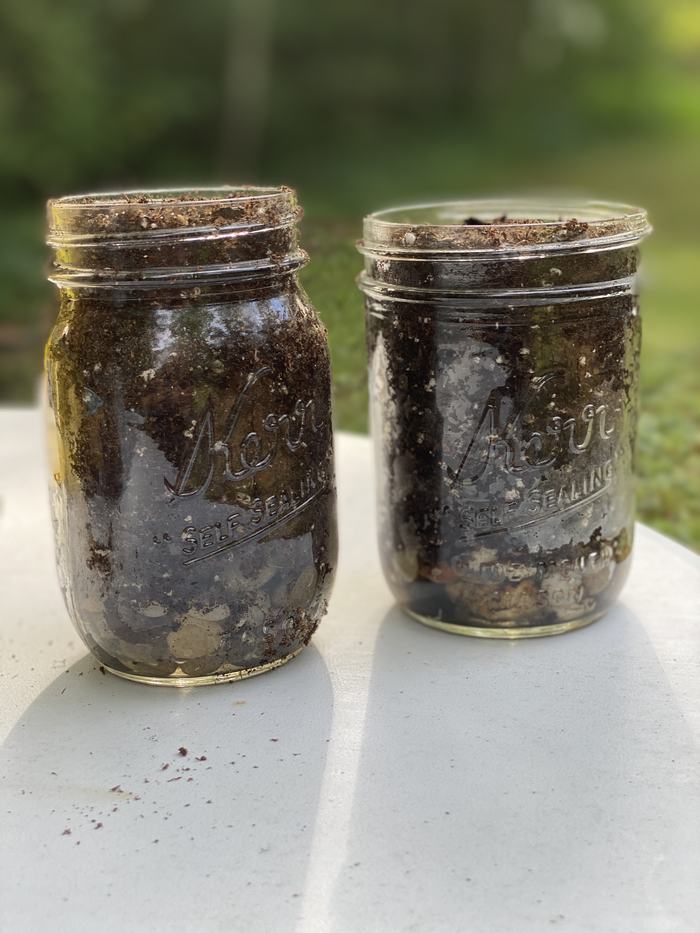 herb garden jars