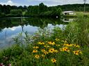 Irrigation pond at Mountain Horticultural Crops Research Station orchards