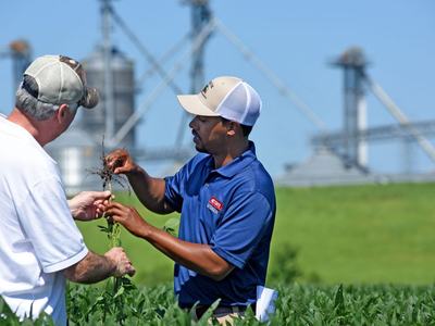 Two men in a field examining a plant's roots with grain silos in background