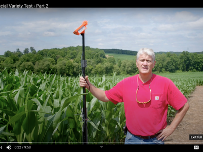 Man in red shirt in corn field holding pole with orange device; Corn Official Variety Test - Part 2
