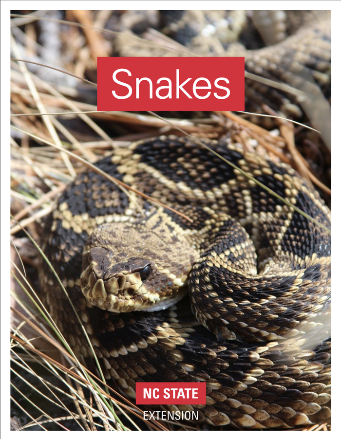 NC State publication on snake identification