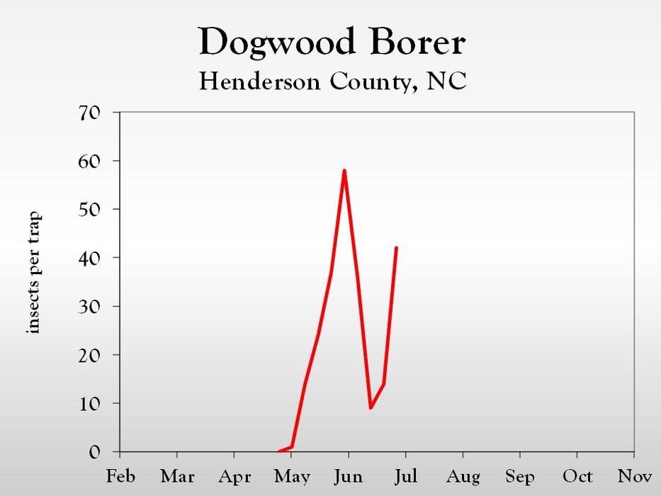 Graph of insect population trends