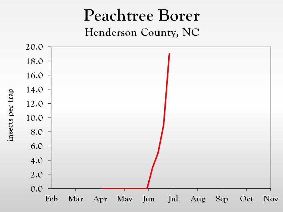 Graph of insect population trends