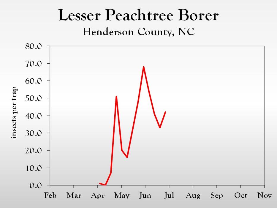 Graph of insect population trends