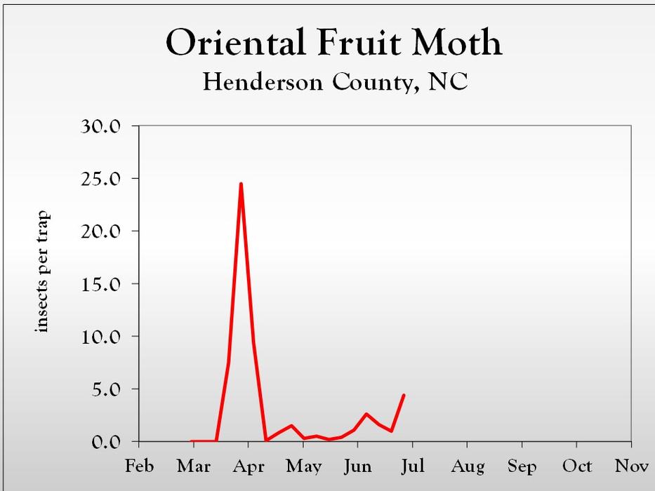 Graph of insect population trends