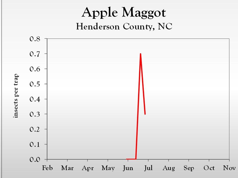 Graph of insect population trends