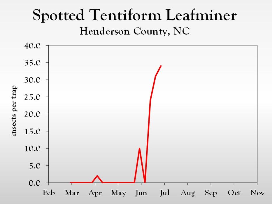Graph of insect population trends