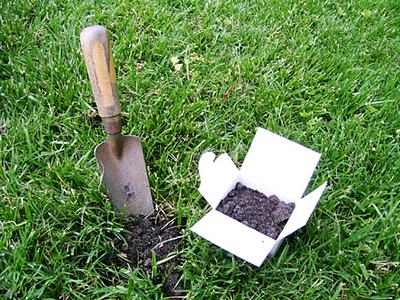 Garden trowel beside a small dug hole and an open white box filled with soil on grass.