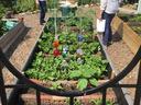 Garden volunteers