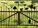 Various garden tools (shovels, rakes, pitchforks) lined upright on a wooden gate in a field