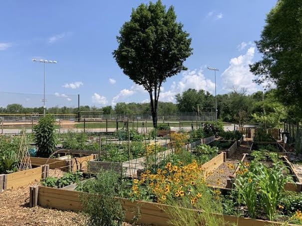 Community garden