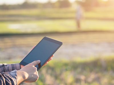 A farmer using a tablet while standing in a farm field