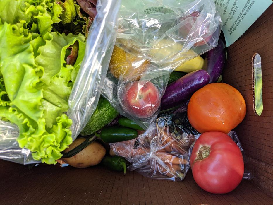 Foothills Food Hub CSA/fresh vegetables