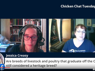 Facebook Live still shot of a Chikcen Chat Tuesday in August 2020