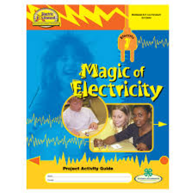 Magic of electricity logo