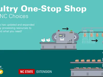 Processing illustration with text Poultry One-Stop Shop from NC Choices