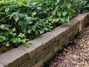 Block wall/raised bed with strawberries