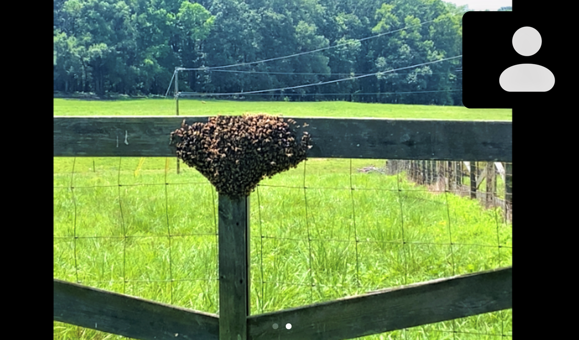 Close up of a bee nest