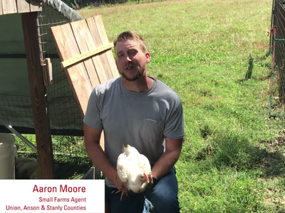 Still shot of Aaron Moore in a Pastured Poultry video