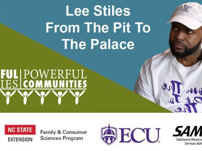 Lee Stiles, Webinar 8