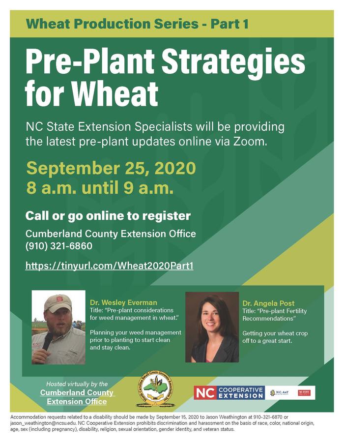 Pre-Plant Strategies for Wheat