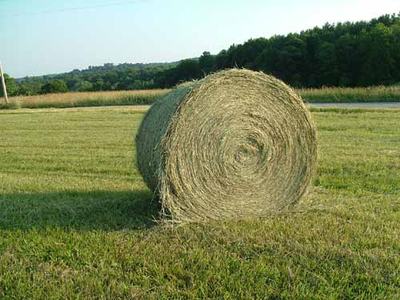 photo of hay bale