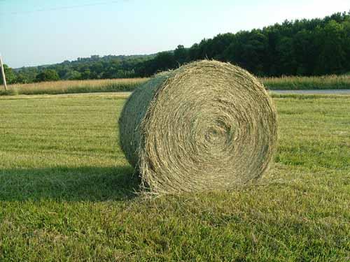 photo of hay bale