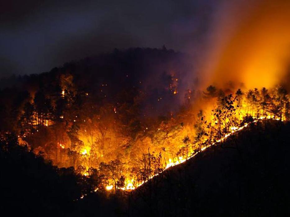 McDowell County wildfire