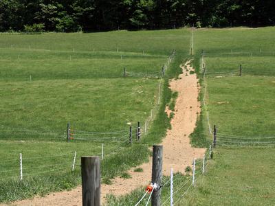 Pasture with poly wire sections