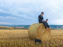 Man in suit sitting on hay bale in harvested field using laptop
