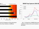 Charts showing brown marmorated stink bug emergence at various locations, and 2020 BMSB populations compared to 2019 and 2018