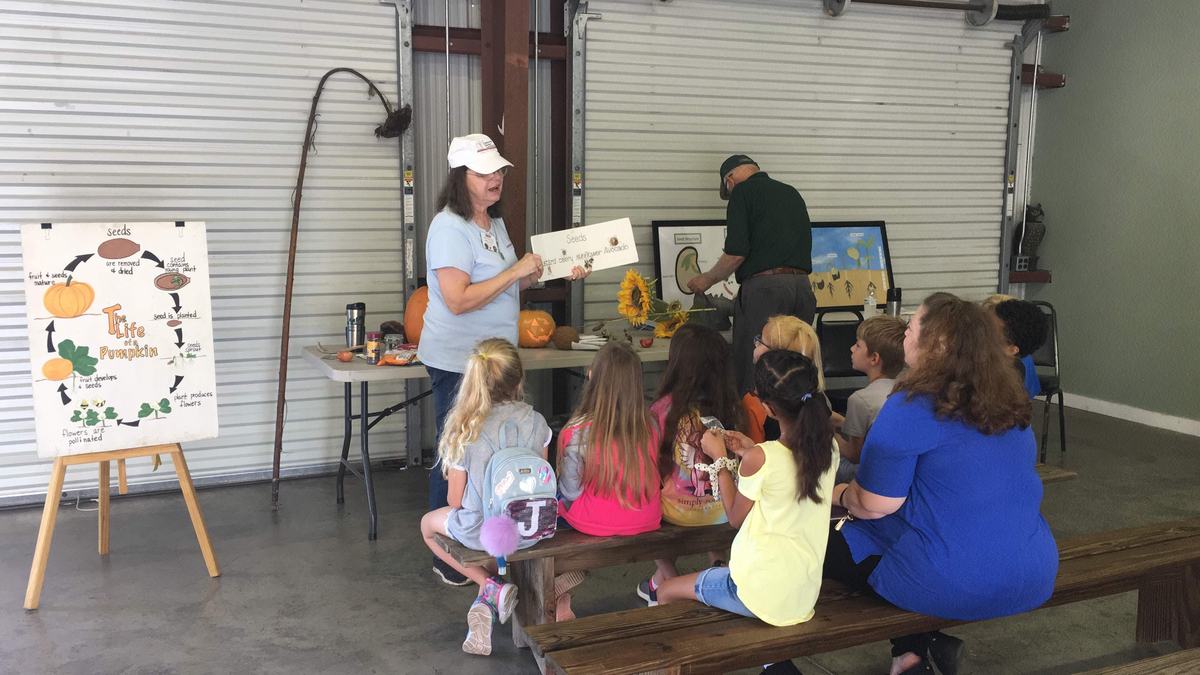 Master Gardener volunteer teaching kids about seeds.